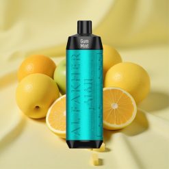 Al Fakher Crown Bar 8000 Gum Mint 18ml 5mg Nikotin USB-C vape wholesale Hungary