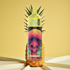 JNR Alien 10000 Puffs Ananás Jég 850mAh 1.2Ohm Mesh RGB vape wholesale Hungary