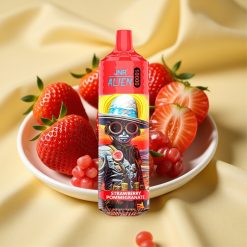 JNR Alien 10000 Puffs Epe Strawberry Pomegranate 850mAh RGB vape wholesale Hungary