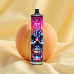 JNR Calavera 11000 Puffs Peach Ice Type-C 850mAh 21ml vape wholesale Hungary