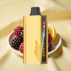 JNR Cruiser 12000 Puffs Blackberry Ice 25ml 3500mAh Dual Mesh