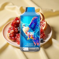 JNR Falcon 16000 Puffs Blueberry Pomegranate Ice 850mAh Dual Mesh Coil