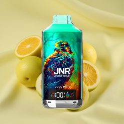 JNR Falcon X 18000 Puff Cool Mint Dual Mesh Coil Type-C vape wholesale Hungary