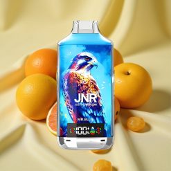 JNR Falcon X 18000 Puffs Mr. Blue Dual Mesh Coil Type-C vape wholesale Hungary