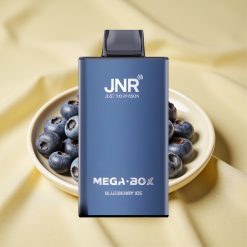 JNR Mega Box 25000 Puff Kékáfonya Jég 30ml Típus-C Gyorstöltés Dual Mesh