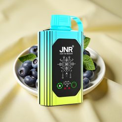 JNR Shisha Hookah Box 20500 Puffs Kékáfonya Menta Dual Mesh Coil Type-C